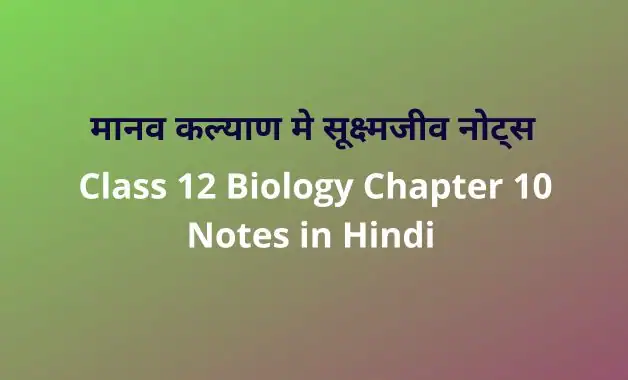 Class-12-Biology-Chapter-10-Notes-in-Hindi